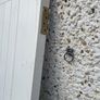 solid wood doors x 3 Image 5
