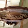 Beautiful Handbag Image 2