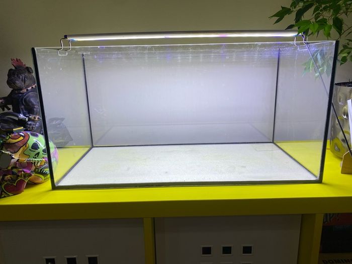 Fish tank