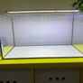 Fish tank Image 2
