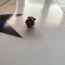 Pandora charm February Birthstone Amethyst New Image 7