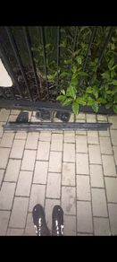 transit roof bars
