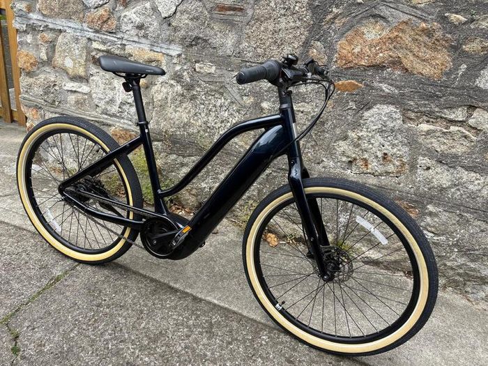 Brand New GIANT Momentum Electric Bike