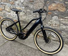 Brand New GIANT Momentum Electric Bike