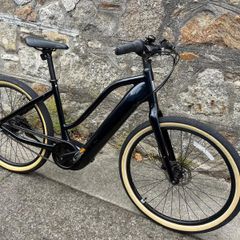 Brand New GIANT Momentum Electric Bike