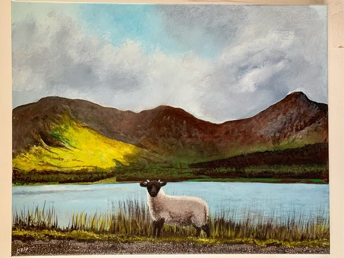 Little Lost Sheep Connemara Afternoon Sun by the Lake