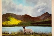 Little Lost Sheep Connemara Afternoon Sun by the Lake