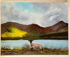Little Lost Sheep Connemara Afternoon Sun by the Lake