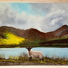 Little Lost Sheep Connemara Afternoon Sun by the Lake