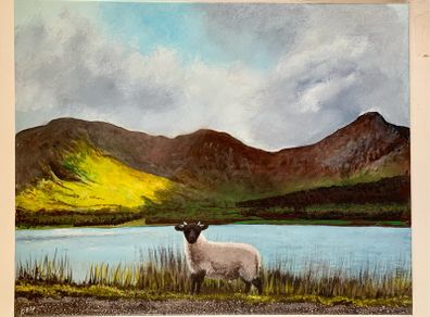 Little Lost Sheep Connemara Afternoon Sun by the Lake