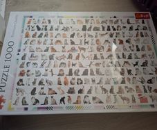 New Cat Puzzle 1000