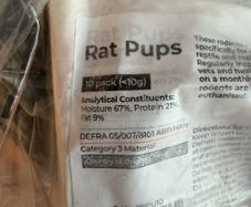 Rat Pups (>10g)
