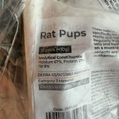Rat Pups (>10g)