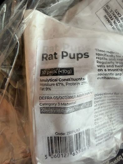 Rat Pups (>10g)