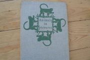 Book Animals in pictures