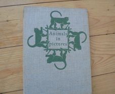 Book Animals in pictures