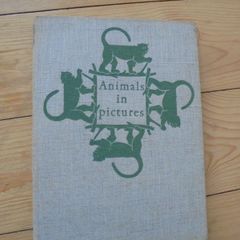 Book Animals in pictures
