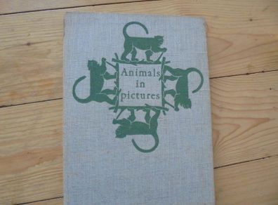 Book Animals in pictures