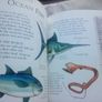 Book: Birds and Fish Image 4