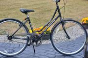 Ladies Bike Ready To Use