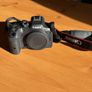 Canon EOS R7 + Sigma 24-105mm + Accessories Image 6
