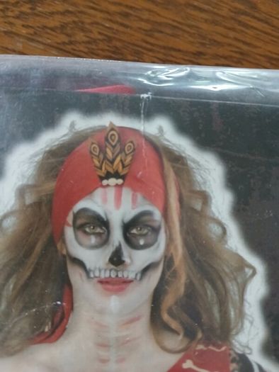 Halloween/fancy dress costume