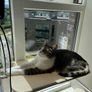 Hammock & bed for cats Image 5