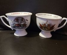 Pair of Hendricks gin cups