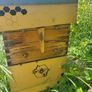 Flow hive Image 2