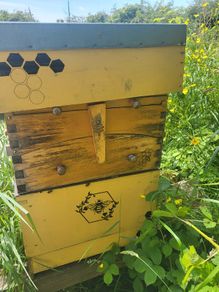National Bee hive