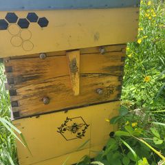 National Bee hive