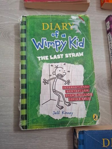 Diary of wimpy kids books