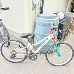 Apollo Vivid Mountain Bike - 26" - Needs Some TLC / Good Project Bike
