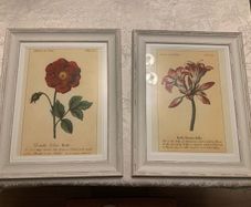 Set of Floral Prints