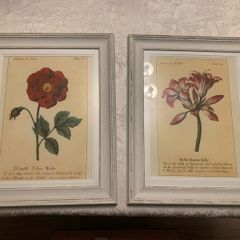 Set of Floral Prints