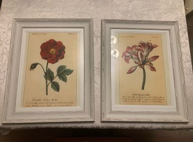 Set of Floral Prints