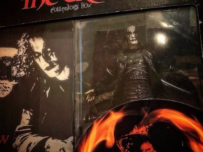 The Crow Collectors Box Japanese