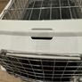 Cat Image 2
