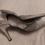 Silver Shies Image 6