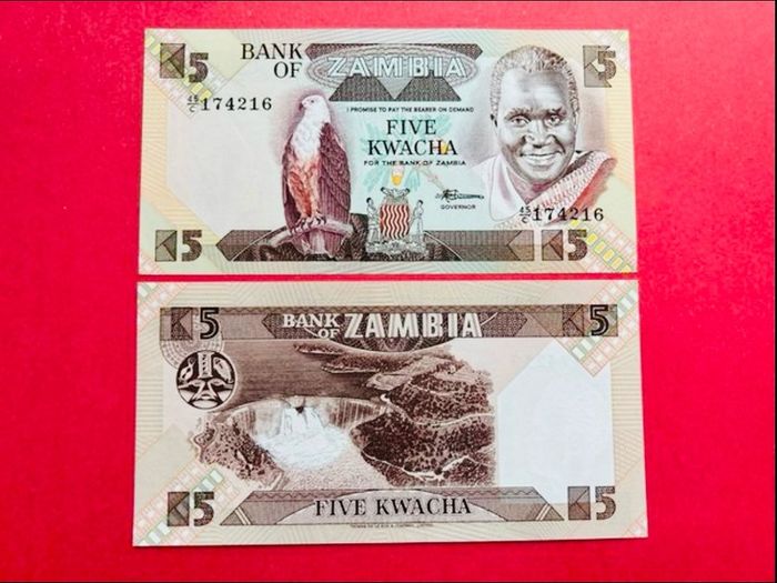 Zambia  5 Kwacha  1986.   ( uncirculated )