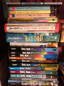 David Walliams, Doctor Judy Moody books (N. B. DogMan is sold.)