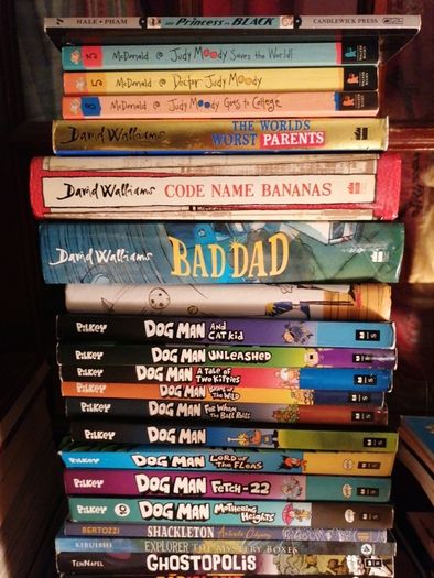 David Walliams, Doctor Judy Moody books (N. B. DogMan is sold.)