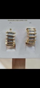 Stainless steel earrings