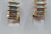 Stainless steel earrings