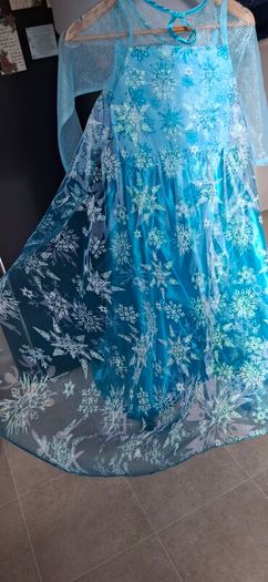 Elsa dress.