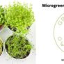 Microgreens Soil Free Growing Kit Image 3