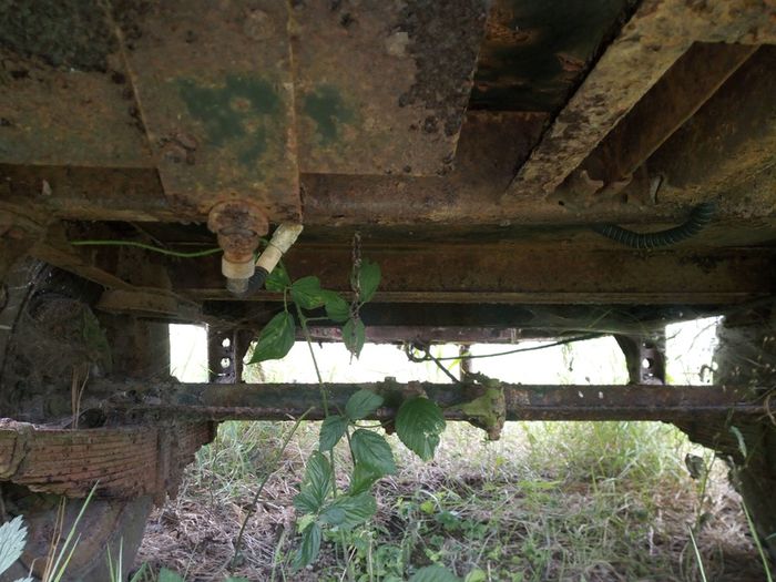 Vintage army trailer