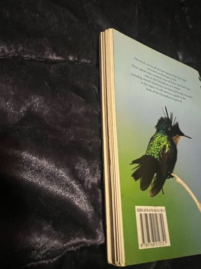 The Bird-Life in Mustique in The Grenadines Michael Pace and Rob Speirs