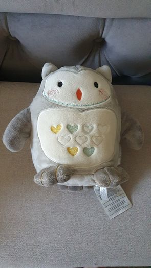 Ollie the owl