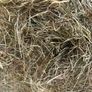 Hay Image 4